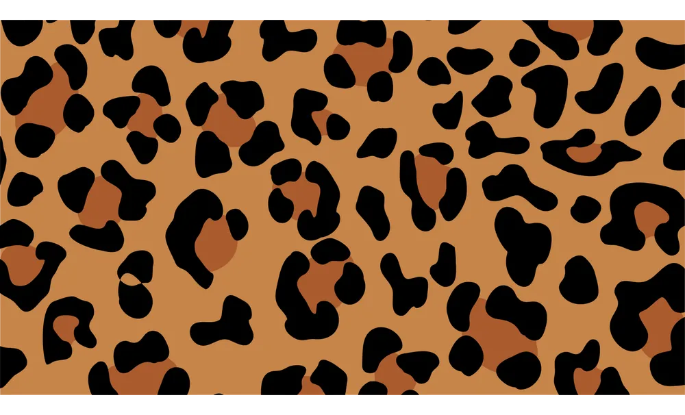 Leopardo