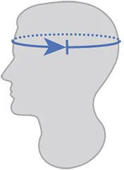 Una ilustración esquemática de una cabeza masculina con una línea azul en forma de flecha que indica la medición del perímetro de la cabeza.